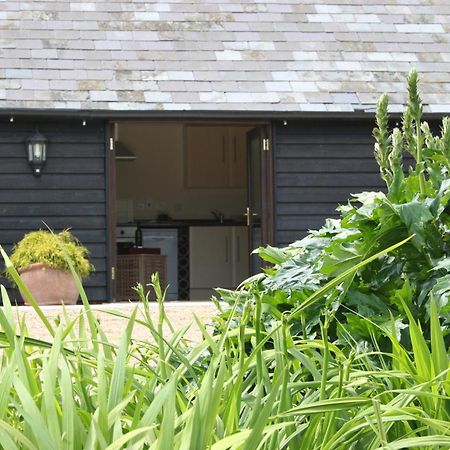 Five Cottages In Aonb Ashford  Eksteriør bilde